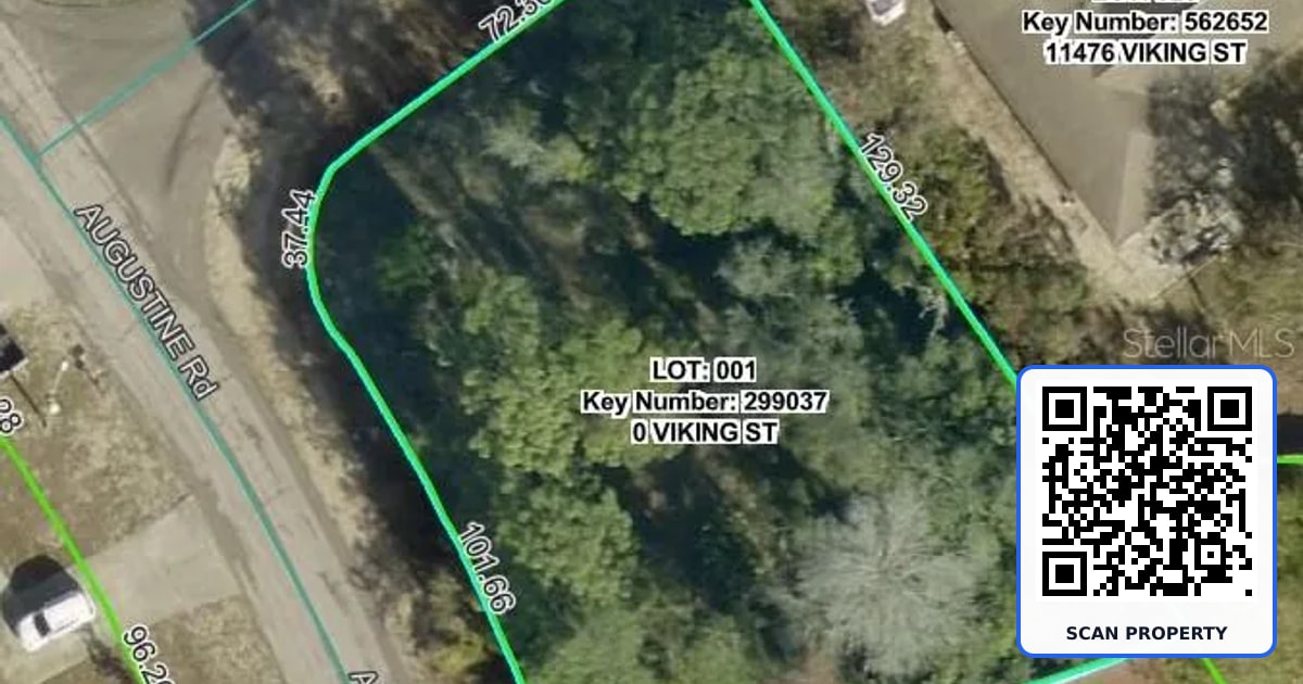 0 VIKING STREET property photo