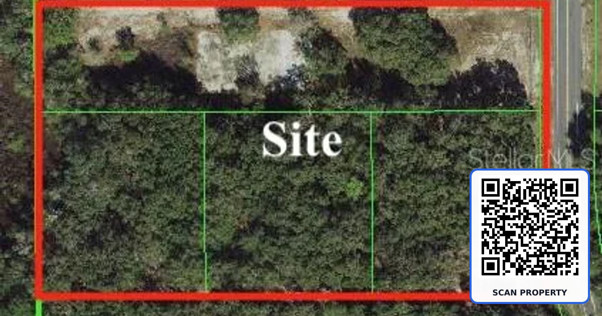 12231 SHADY HILLS ROAD property photo