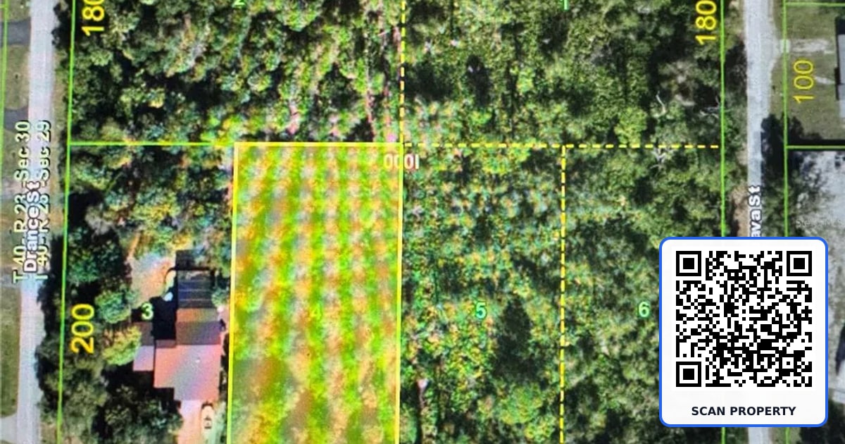 1838 BANANA STREET property photo
