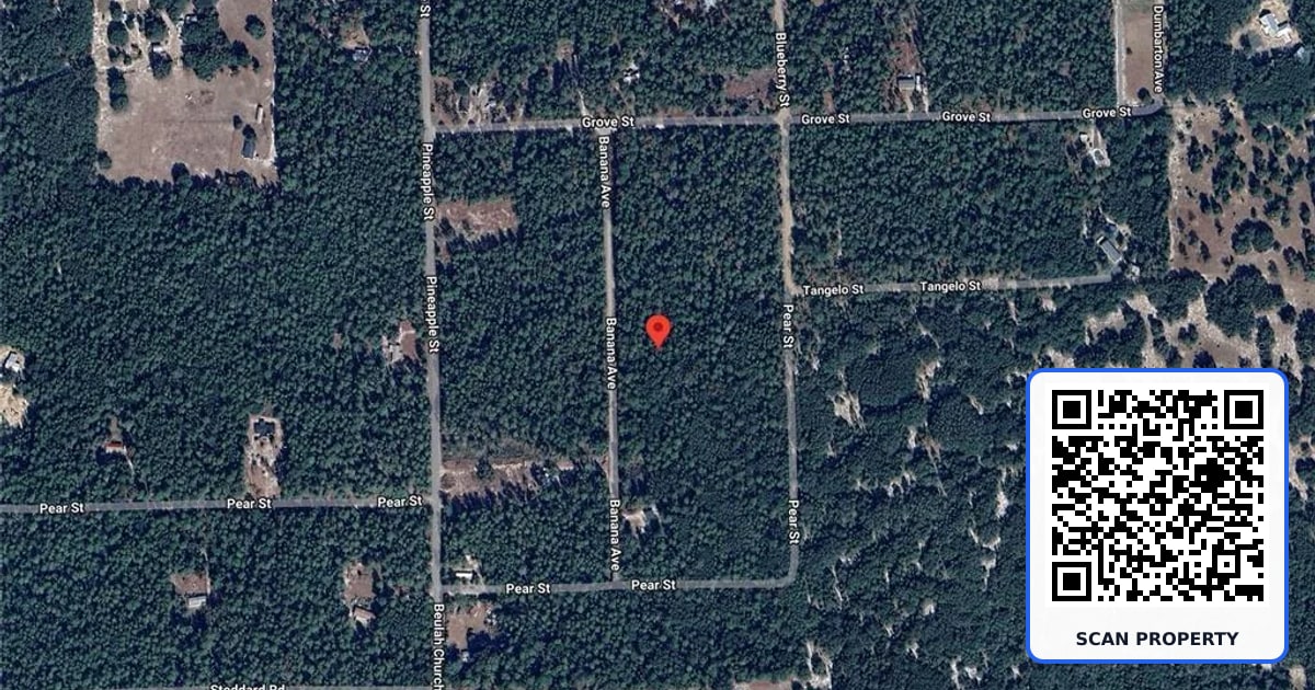 118 BANANA AVENUE property photo