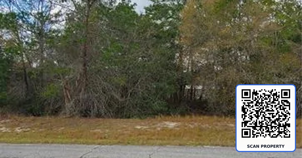 1428 HILLSBOROUGH DRIVE property photo