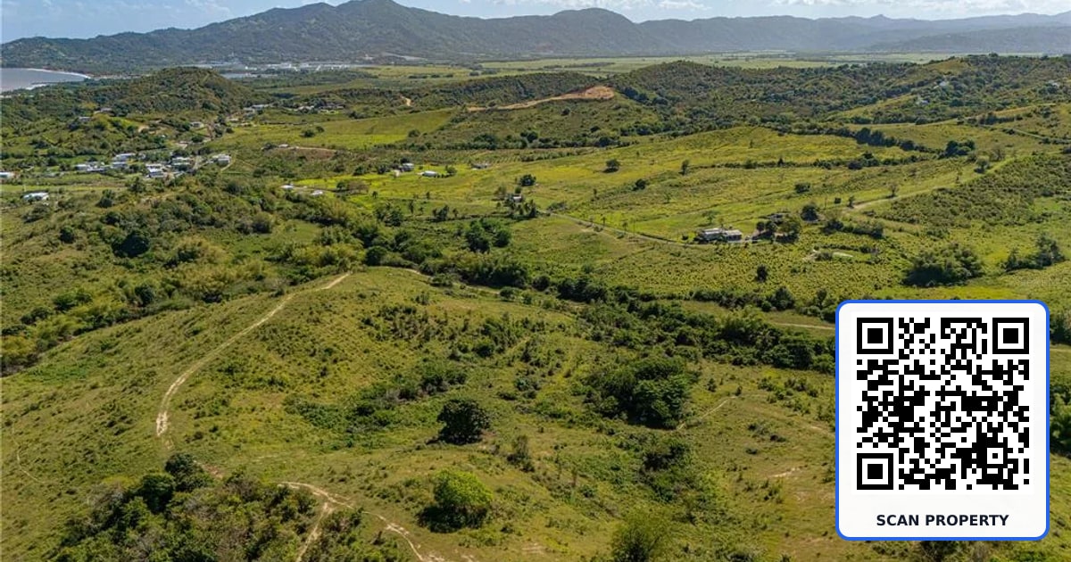 BARRIO GUAYANÉS property photo