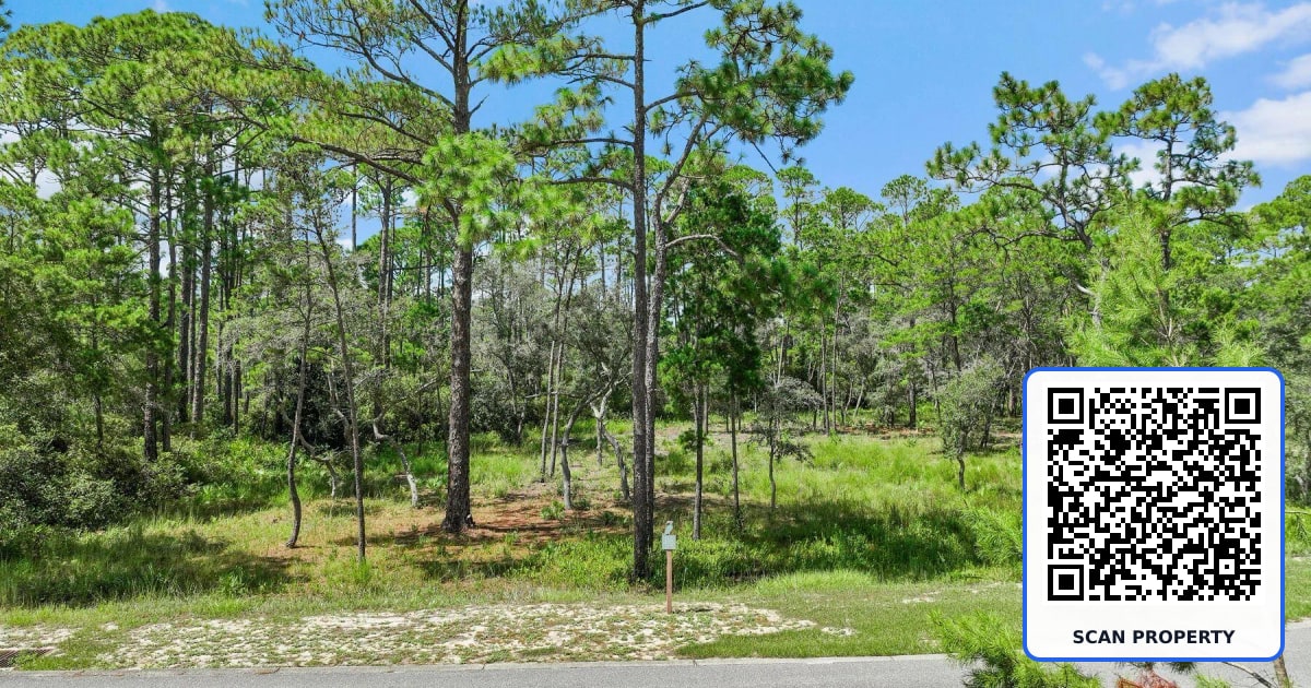 1519 Sharks Tooth Trail property photo