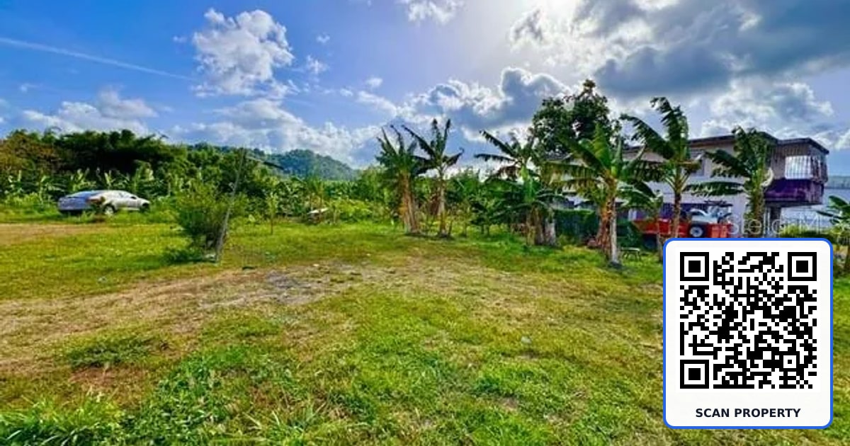 BO LIMONES 2 property photo