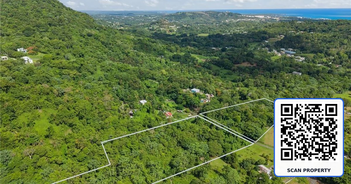 MATA DE PLATANO property photo