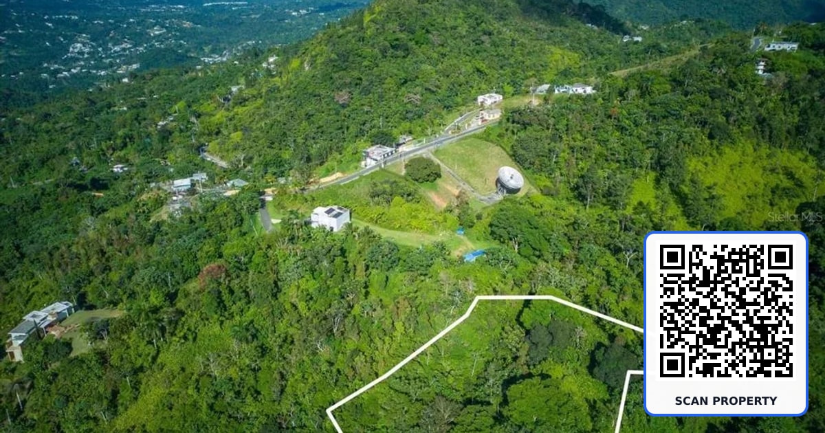 PR 879 BO GUARAGUAO ARRIBA UNIT 3 property photo