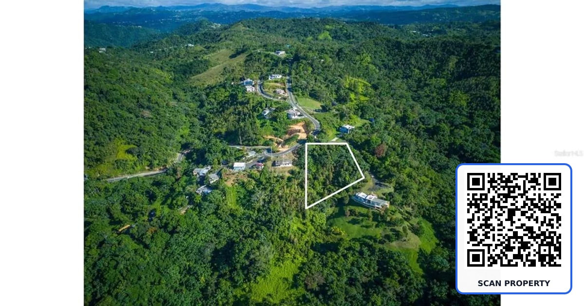 PR 879 BO GUARAGUAO ARRIBA UNIT 10 property photo