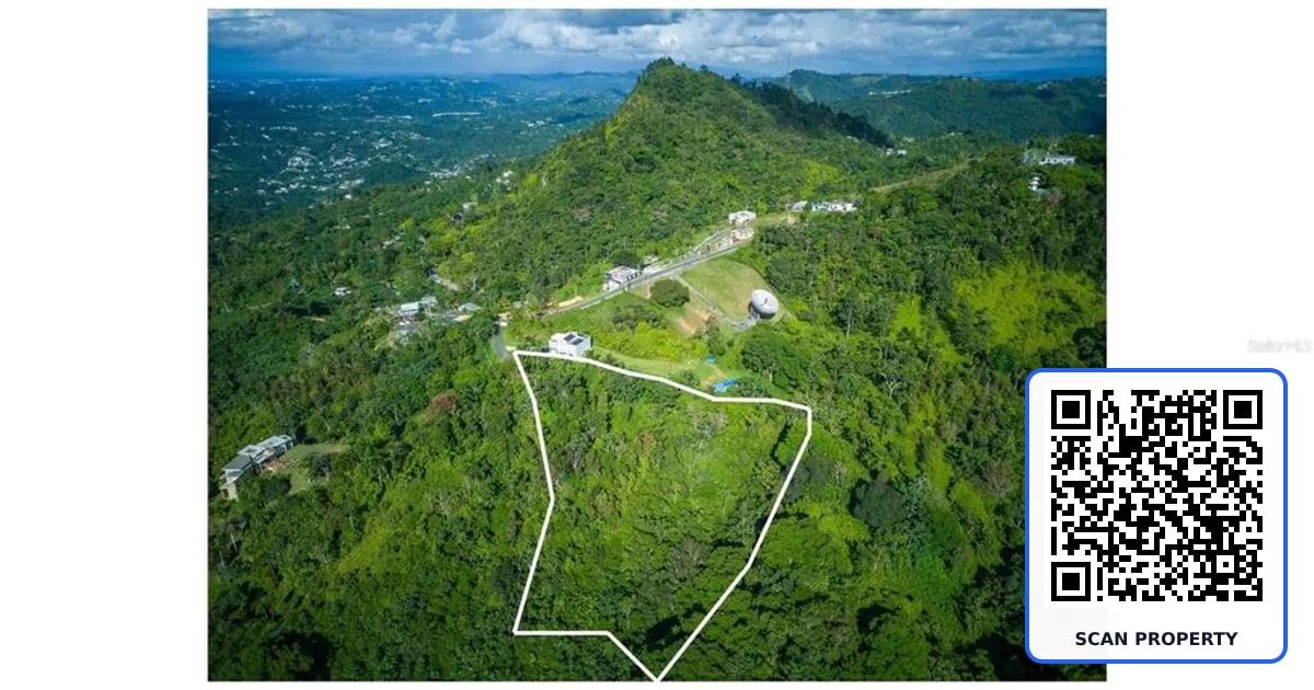 PR 879 BO GUARAGUAO ARRIBA UNIT 5 property photo