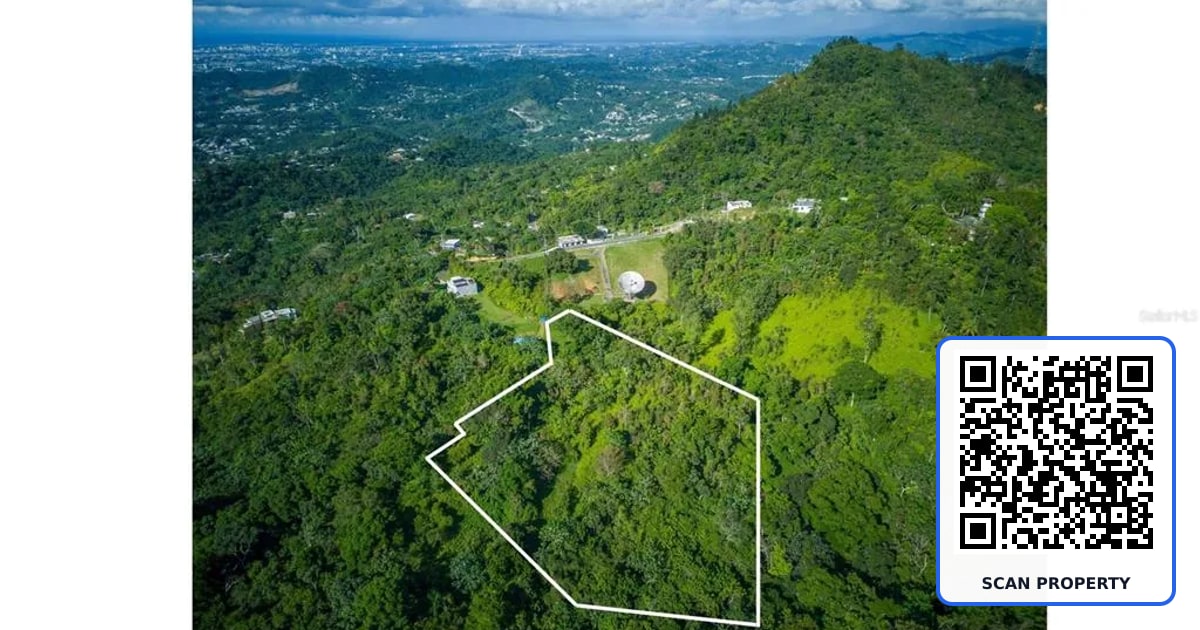 PR 879 BO GUARAGUAO ARRIBA UNIT 2 property photo