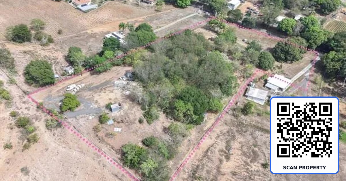 306 property photo