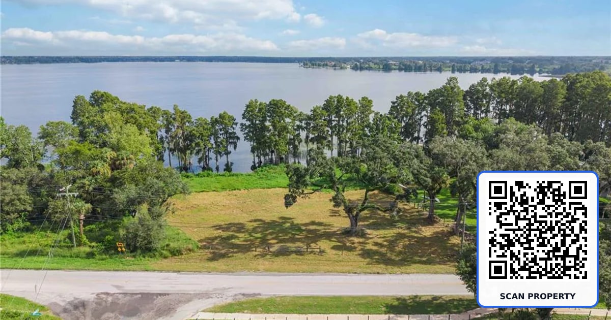 11702 THONOTOSASSA ROAD property photo
