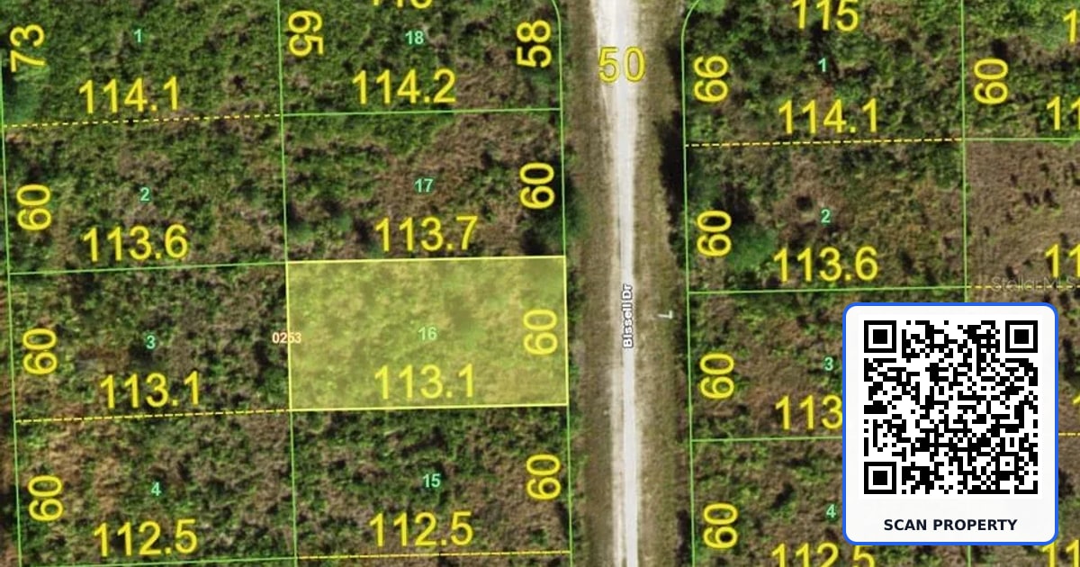 13213 BISSELL DRIVE property photo