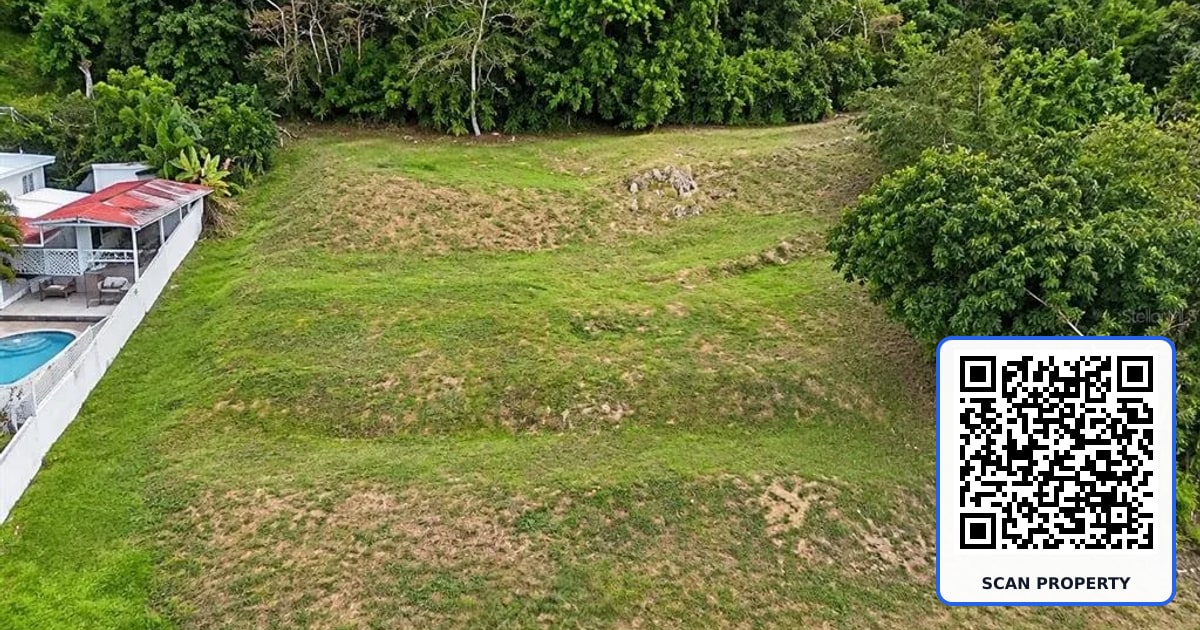 Road 115 kM 15.6 RIO GRANDE WARD property photo