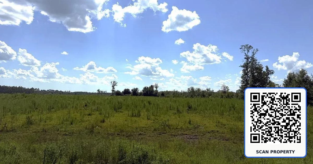 Lot 2 Hwy 71 S property photo