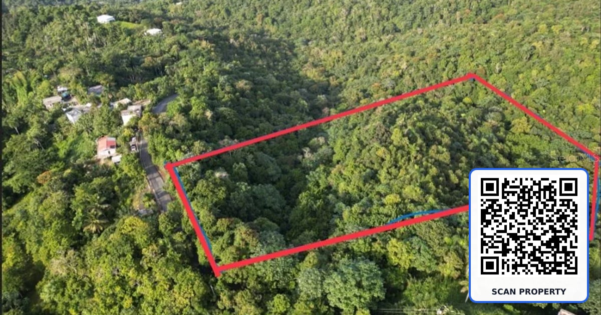 BO CAGUITAS property photo