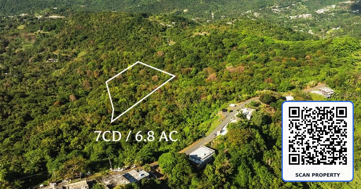 Carr 853 BO. CACAO LOTE 15 property photo