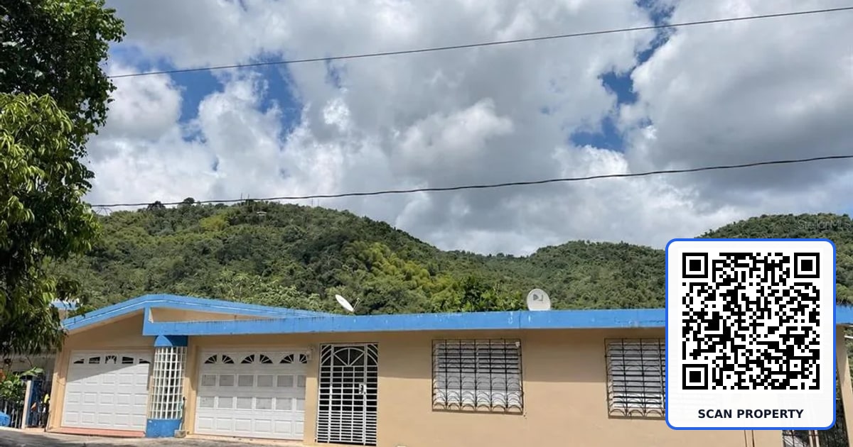 CARR 949 KM 1.4 BO RIO property photo