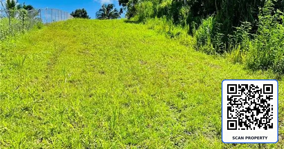 857 CARRETERA property photo