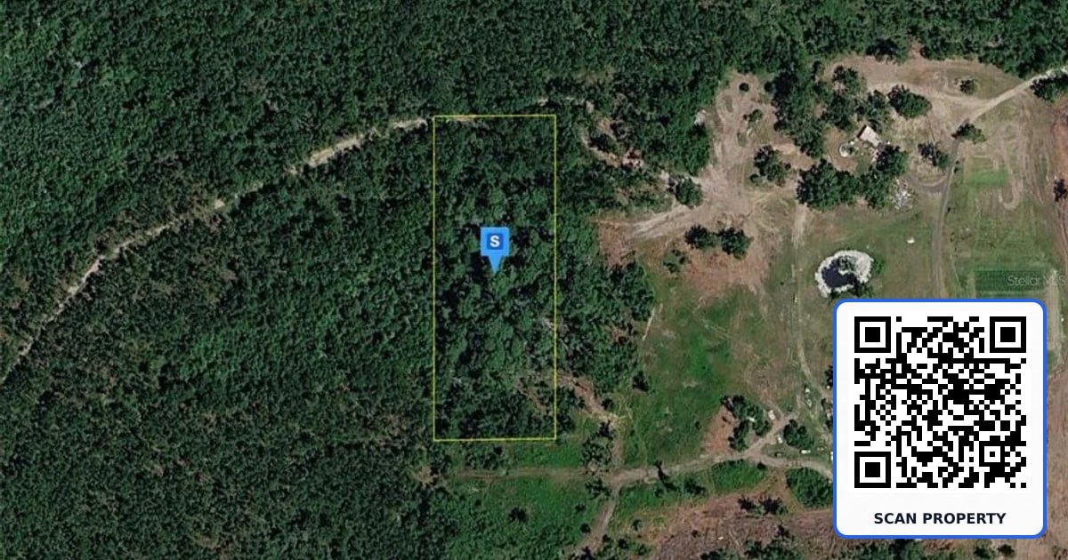 15701 US-19 property photo