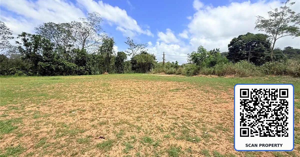 SR-835 MAMEYES WARD property photo