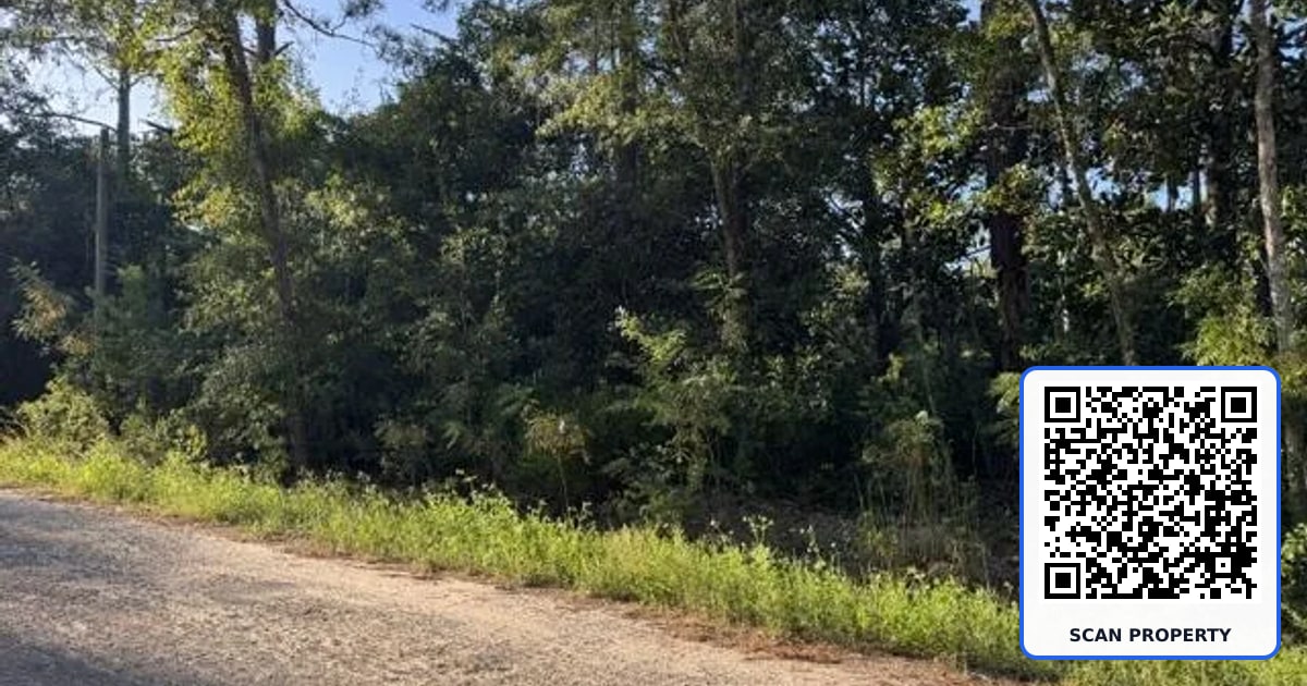 Lots 10-11 BLK 42 property photo