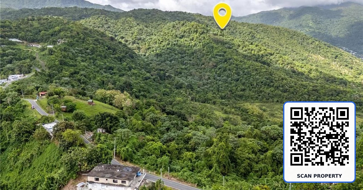 BO. RIO BLANCO property photo