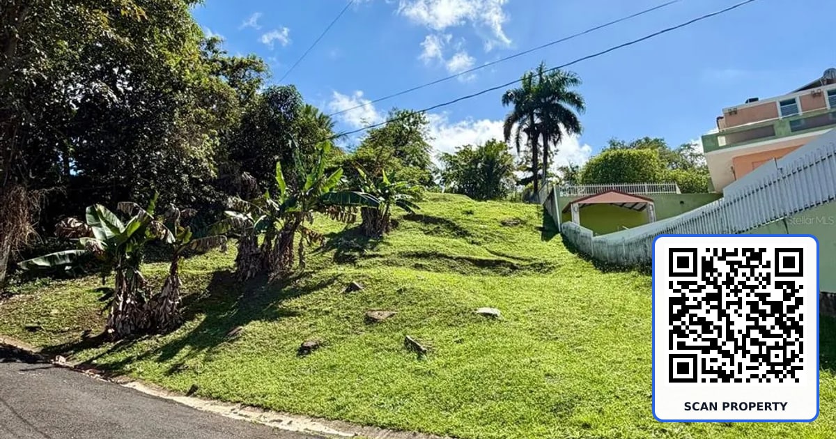 3 CALLE CAGUAX property photo