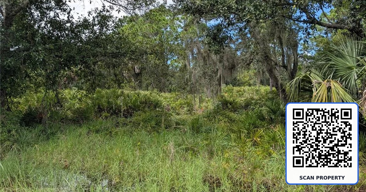 3241 DOUGLAS ROAD property photo