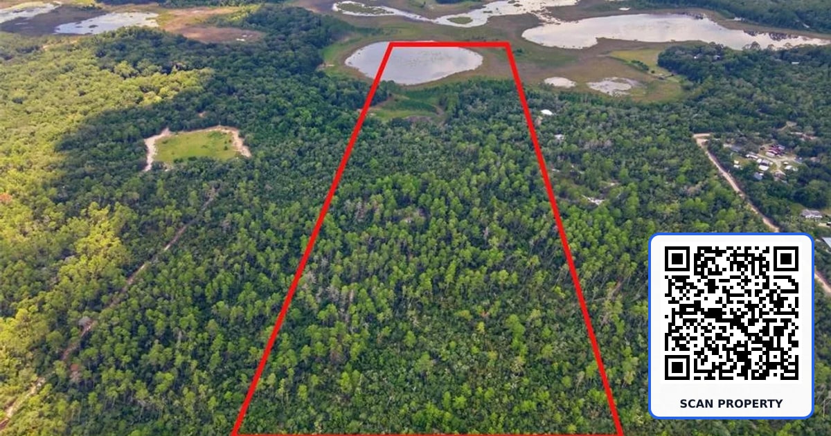 0 FOREST 02 property photo