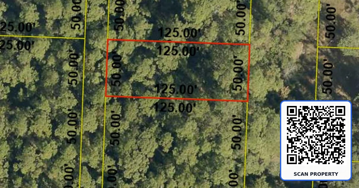 lot 7 N 14th Street property photo
