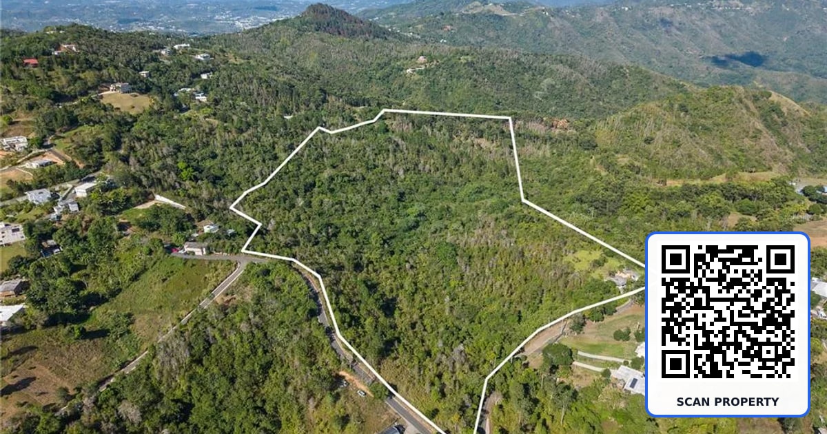 BO. CERCADILLO property photo
