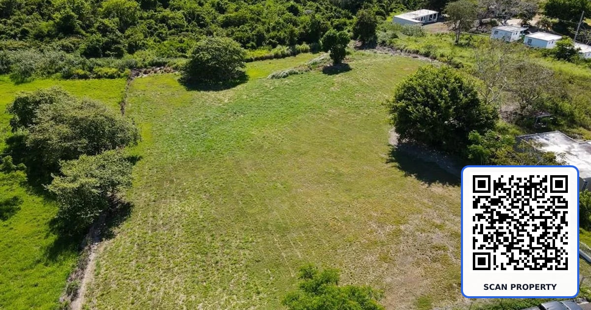 BO PEDERNALES BEACH SE UNIT 2 property photo