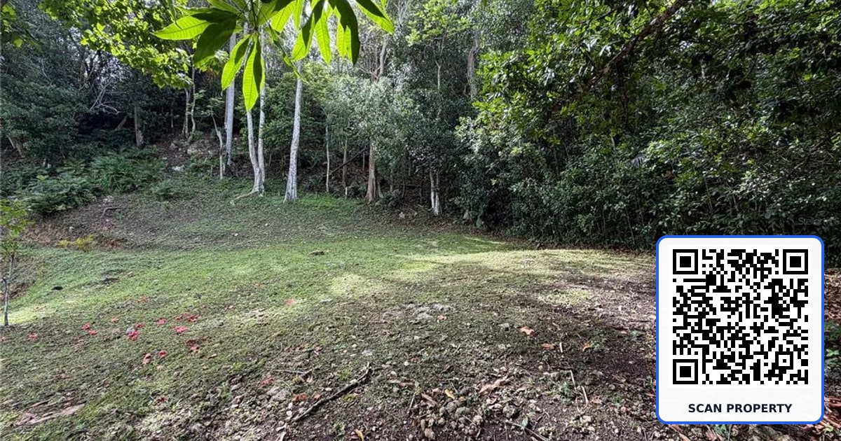 CARR 643 KM 6.7 BO PUGNADO property photo