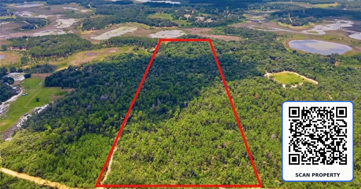 0 FOREST 02 property photo