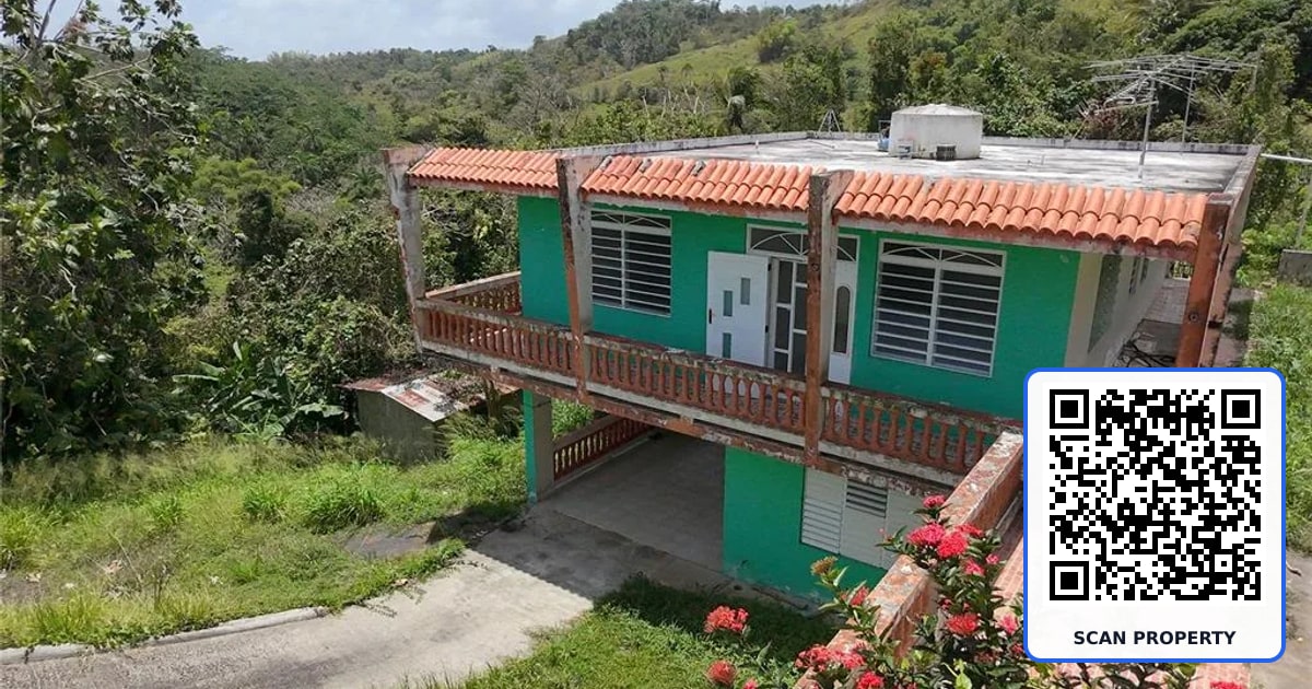 CARR 788 KM 6.7 BO TOMAS DE CASTRO I property photo