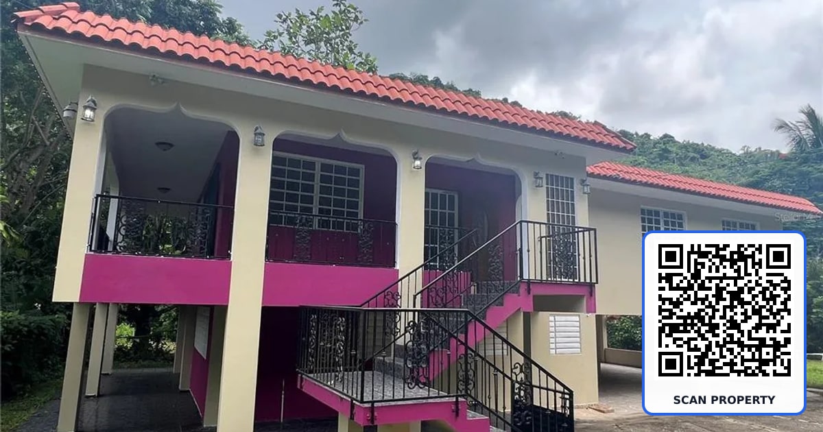 RD 765 K.M 4.7 LOT 1 BORINQUEN WARD property photo