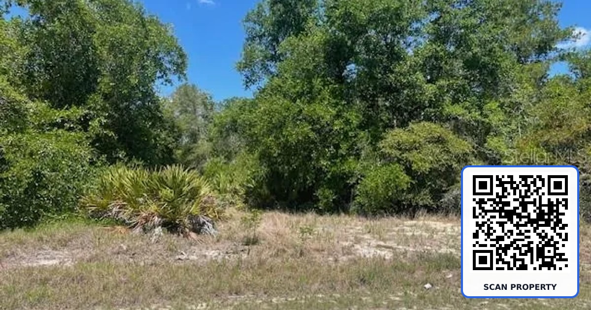 1455 KISSIMMEE WAY property photo