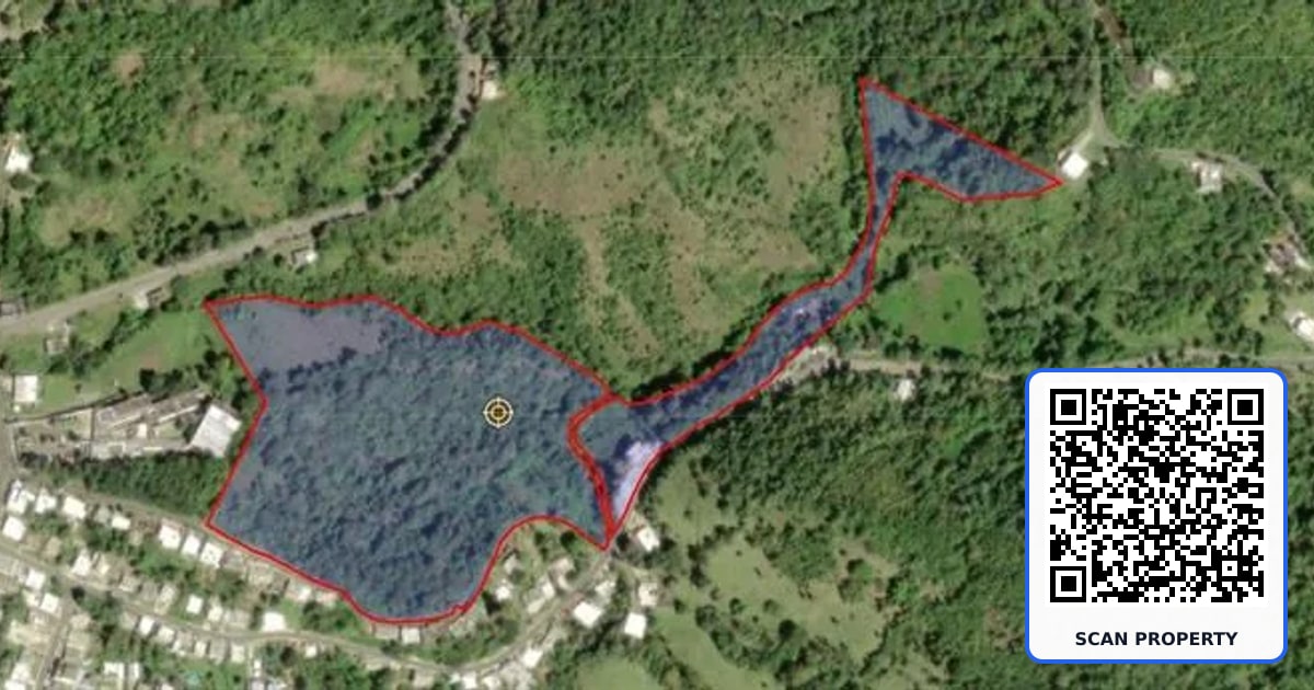 185 CARR KM 15.7 SECTOR LAS 400 BO CUBUY property photo
