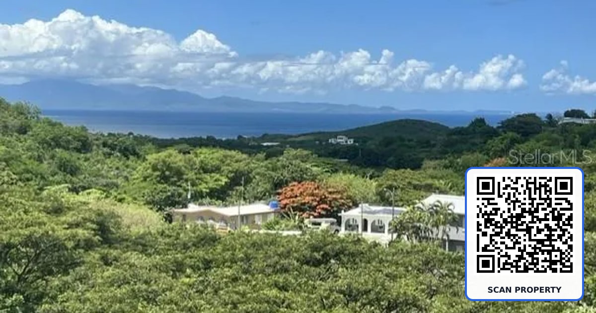 15 BIRD'S NEST STUDIOS property photo