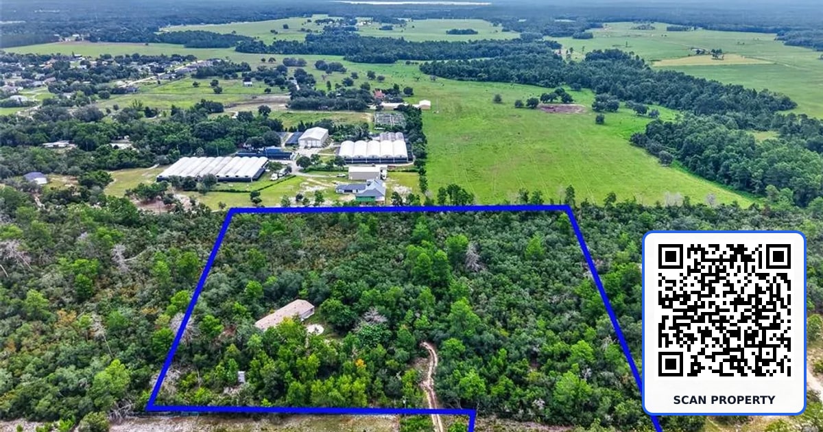 20241 SALTSDALE ROAD property photo