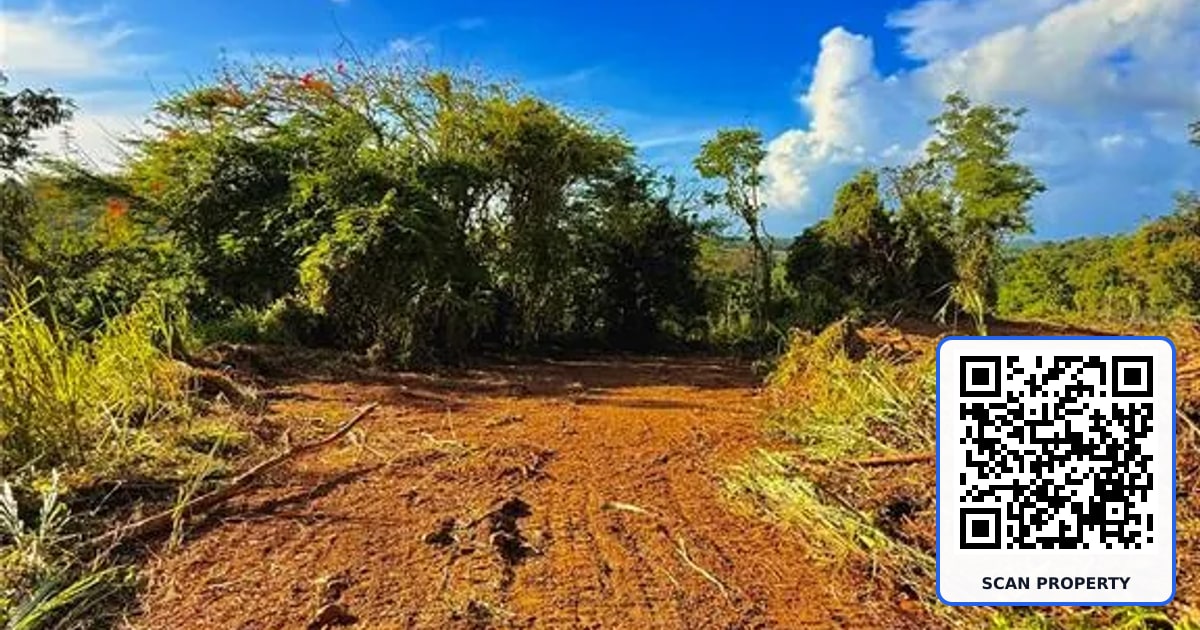 BO. CACAO property photo