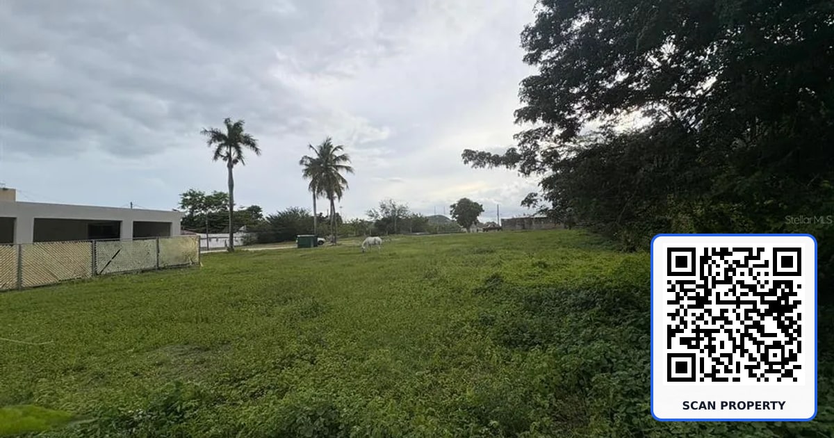 1 JUANA DIAZ property photo