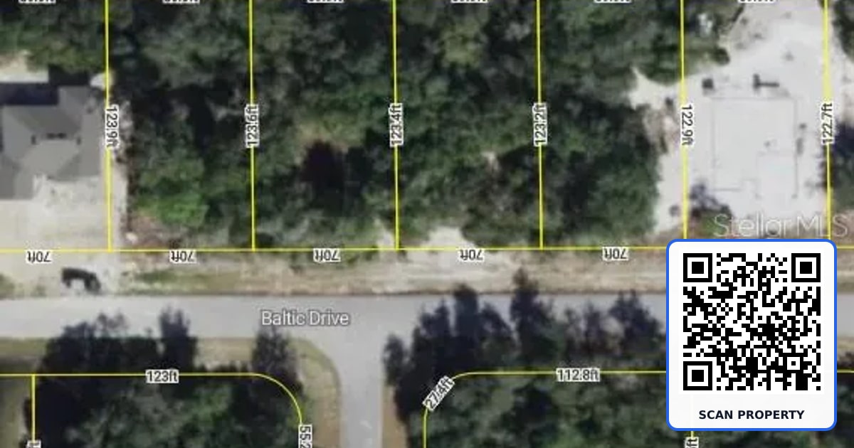 1217 BALTIC DRIVE property photo