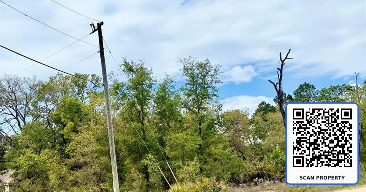 MOUNTAIN MOCKINGBIRD ROAD property photo