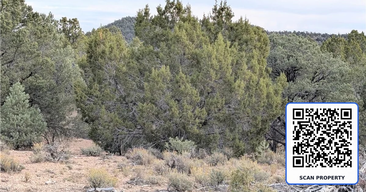 Lot 1-B Side Hill Pass property photo
