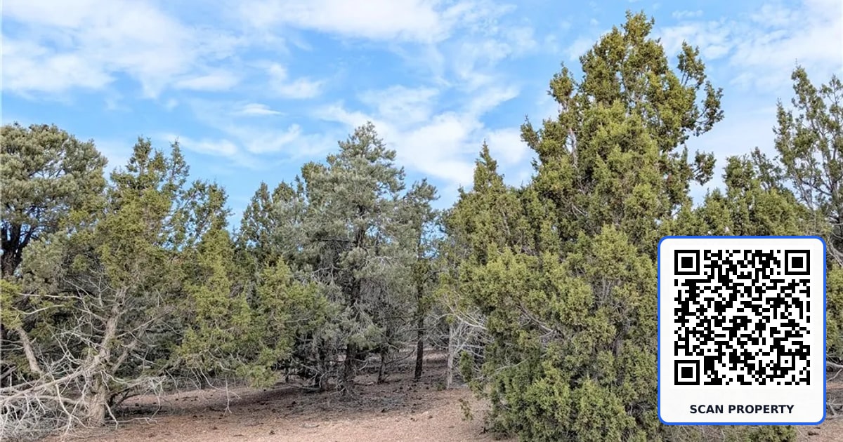 Lot 1-A Side Hill Pass property photo