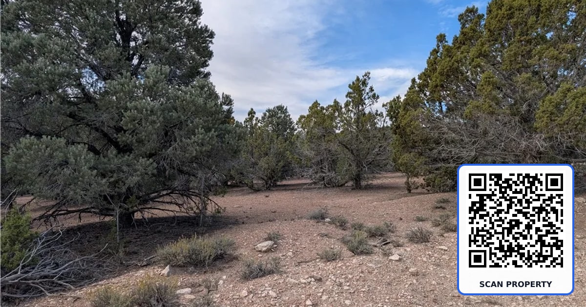 Lot 1-D Side Hill Pass property photo
