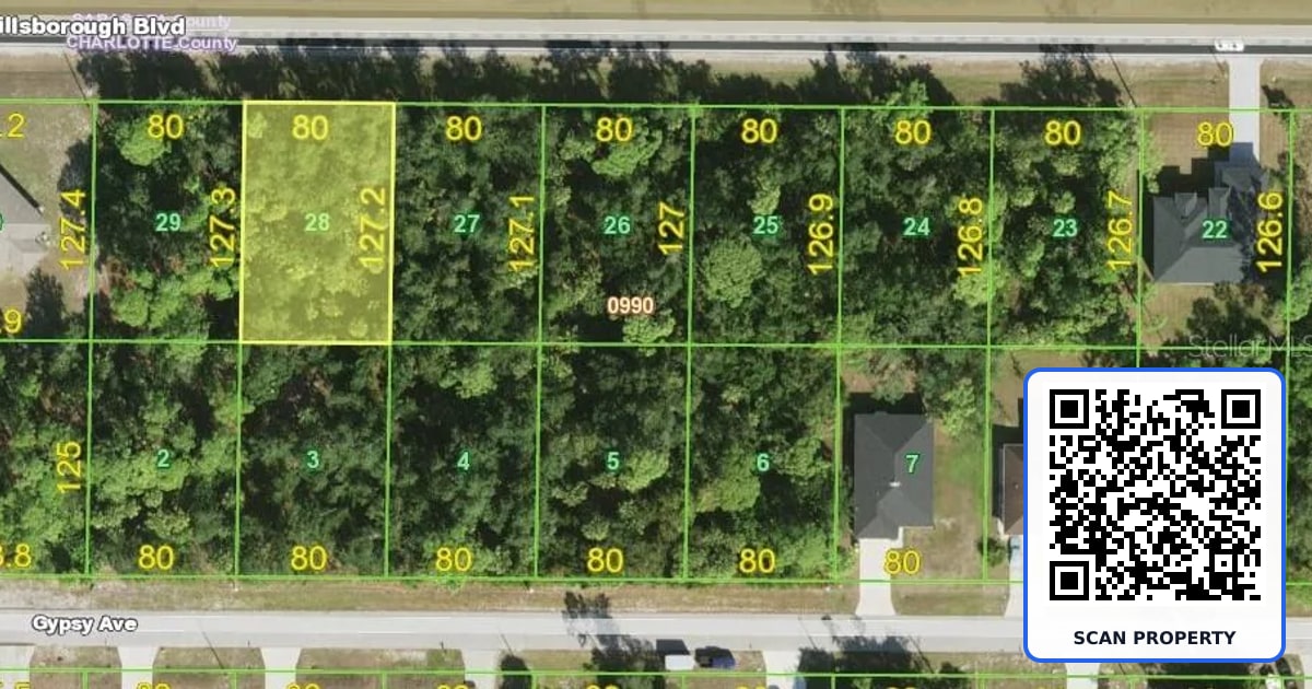 18351 HILLSBOROUGH BOULEVARD property photo