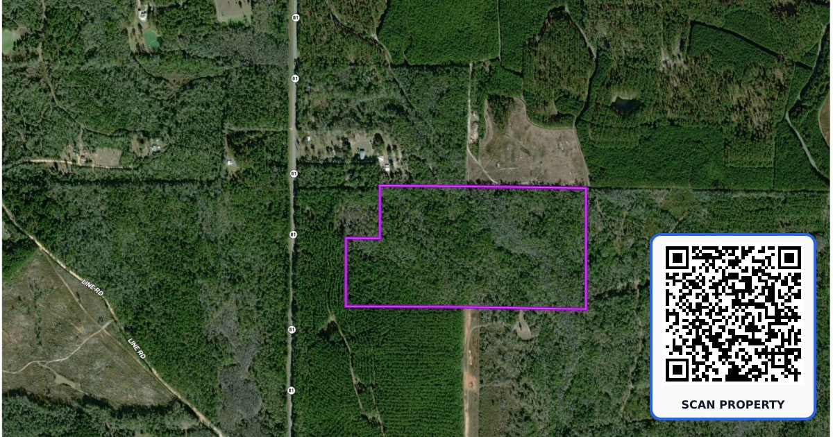 75 Acres N Florida 81 property photo