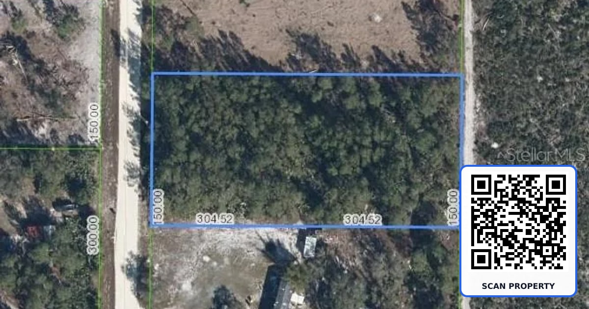 477 DONOHUE DRIVE property photo